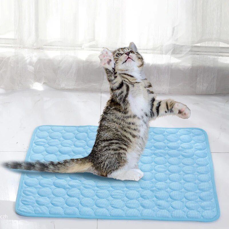 แผ่นรองนอนเย็นสำหรับสัตว์เลี้ย - Cooling Blanket Hot Sleepers บทวิจารณ์และราคา
